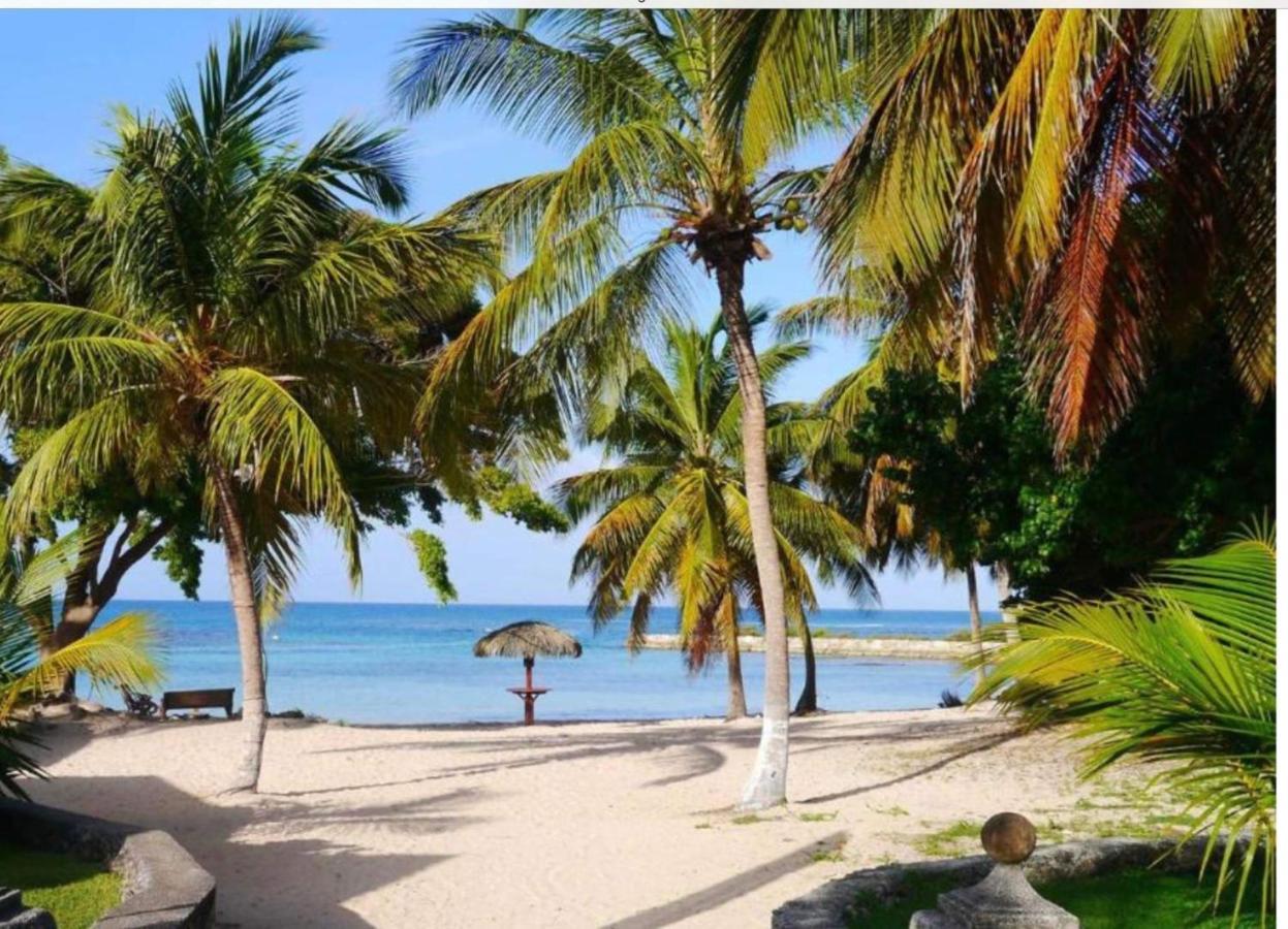 Brin D'Ile Anse Des Rochers Vue Mer A 50 M De La Plage Et Piscine Сен-Франсуа Екстер'єр фото