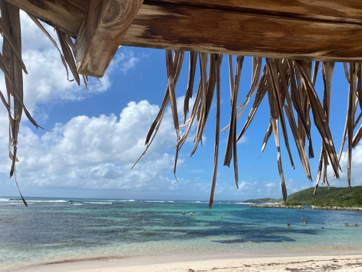 Brin D'Ile Anse Des Rochers Vue Mer A 50 M De La Plage Et Piscine Сен-Франсуа Екстер'єр фото