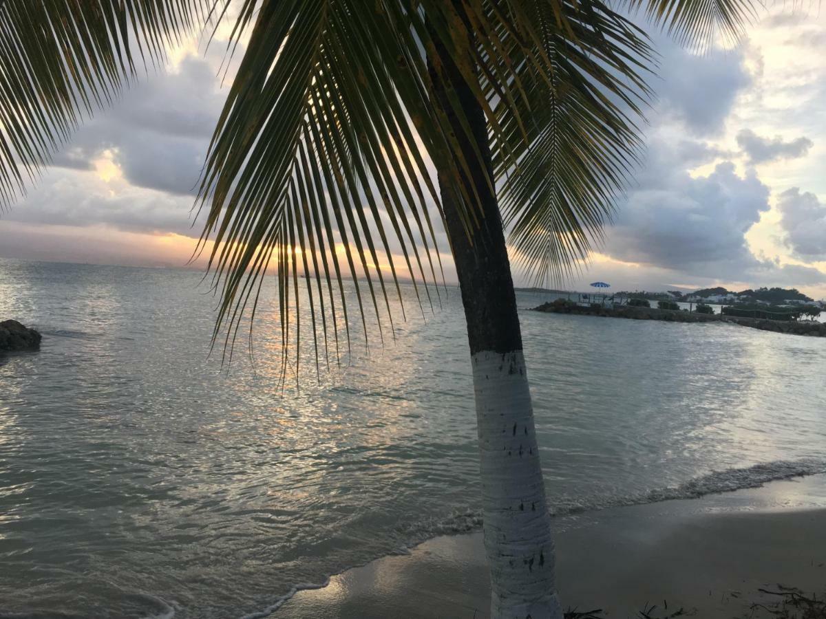 Brin D'Ile Anse Des Rochers Vue Mer A 50 M De La Plage Et Piscine Сен-Франсуа Екстер'єр фото